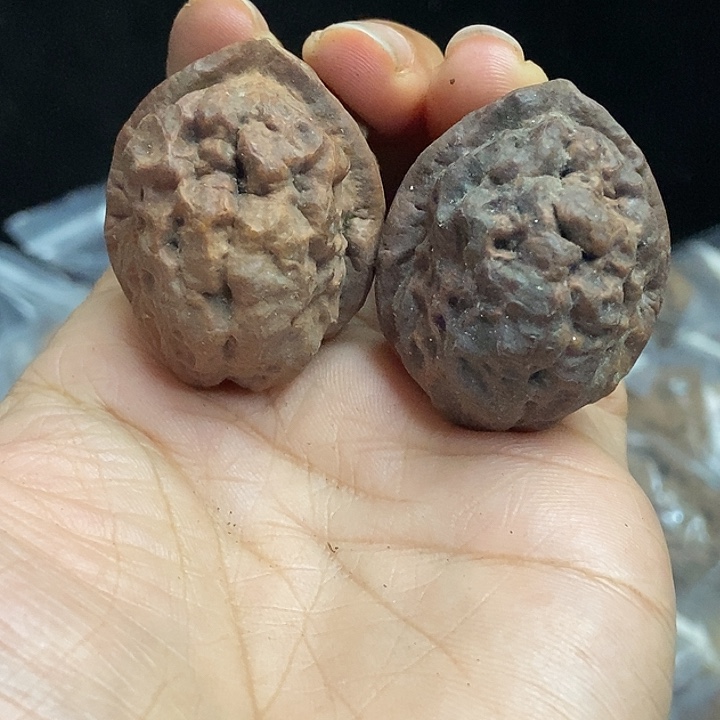 文玩核桃把件云南铁核桃基地99