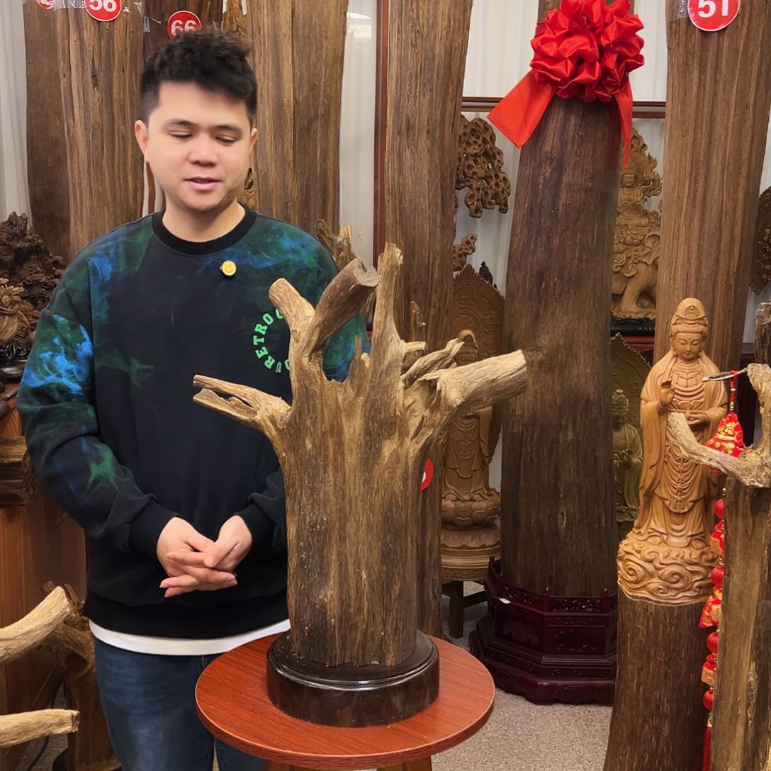 沉香摆件∞****∞沉香摆件