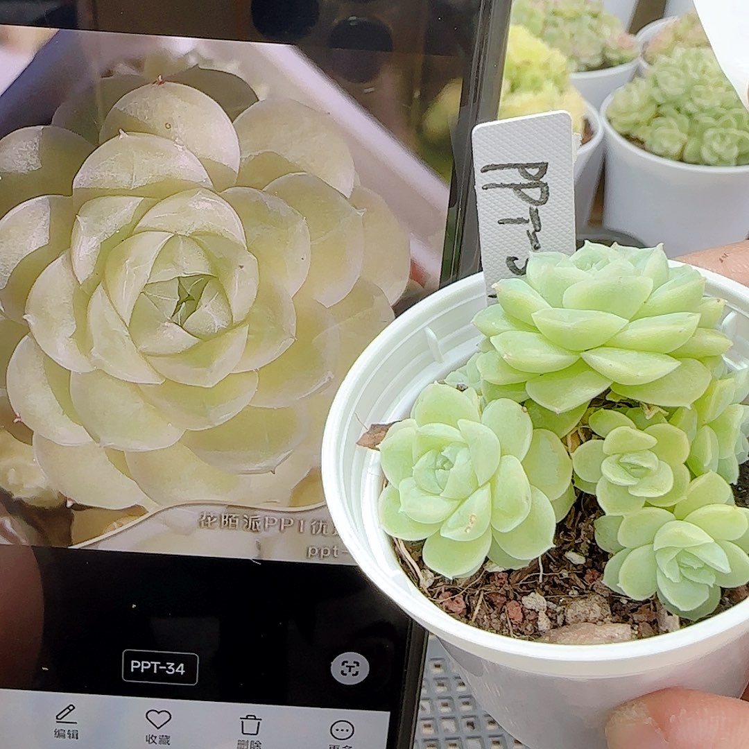 1122-10（ppt-34）优选