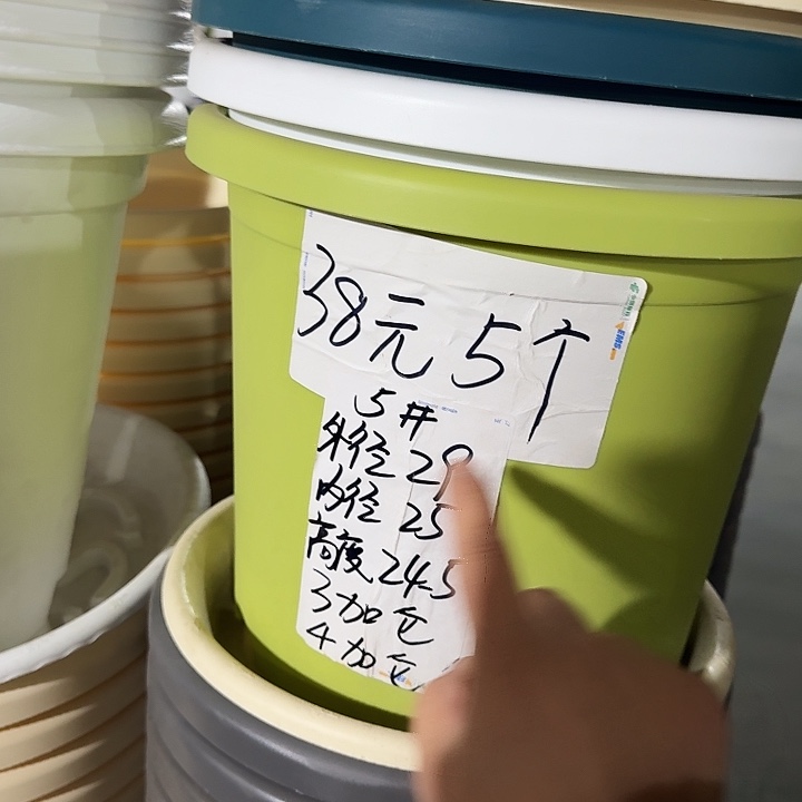 四季5号果绿无托10个特价微瑕