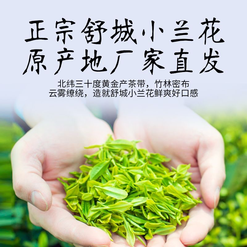 明前2025年新茶小兰花茶叶舒城核心茗茶