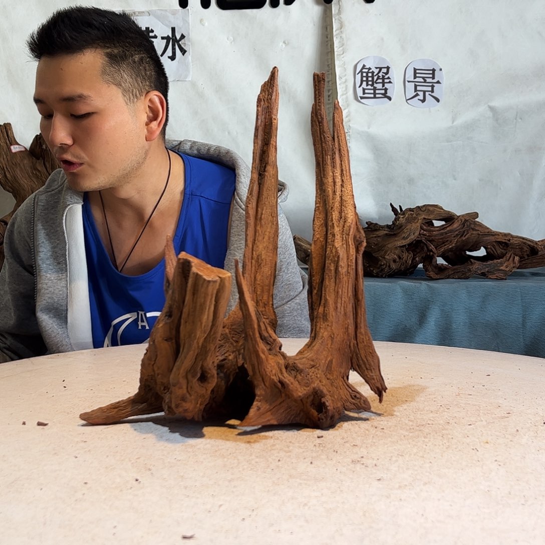 宋**?沉木造景爬宠造景