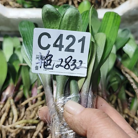 用***姐完全开放7777777777