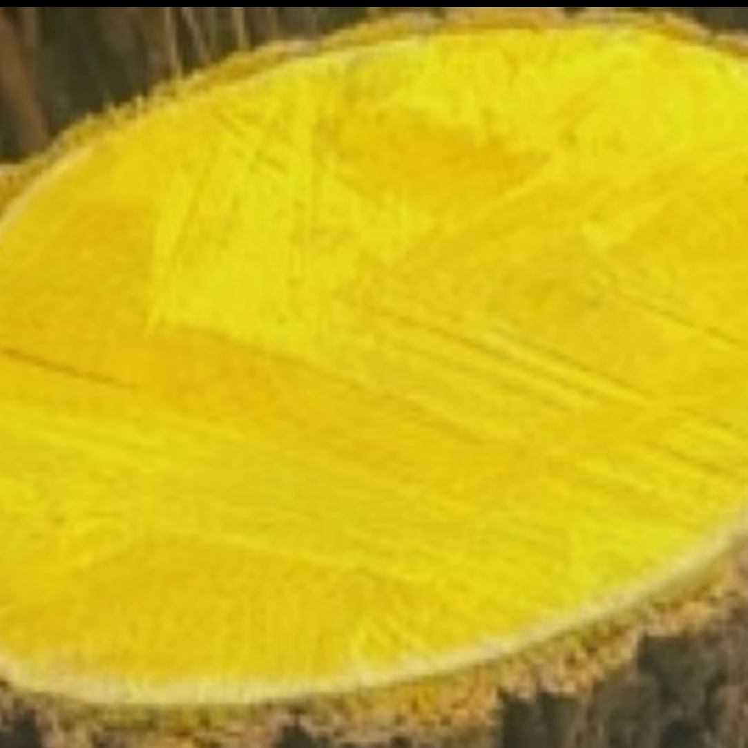 山野集山货一物一拍十大功劳木