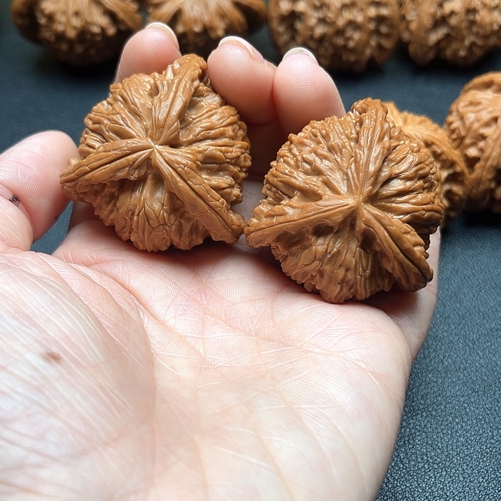 核桃42尺白狮子拼接三棱