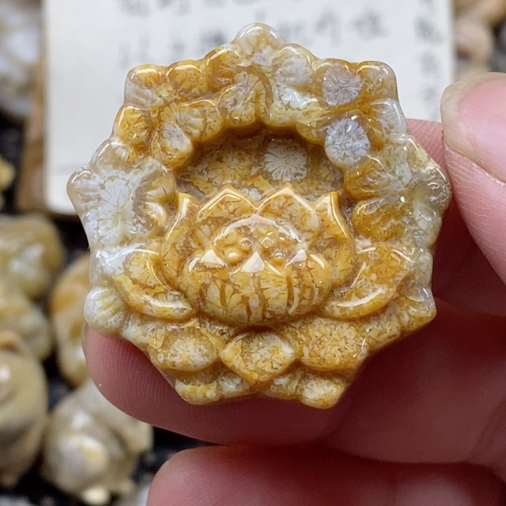 颈饰未镶嵌硅化珊瑚（珊瑚玉）小
