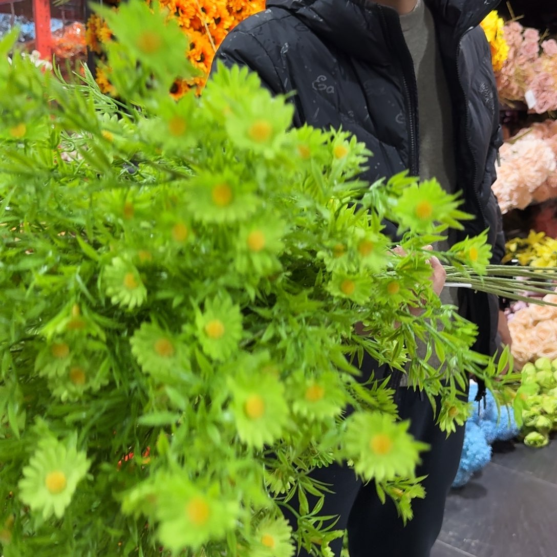 272号绿色雏菊6支