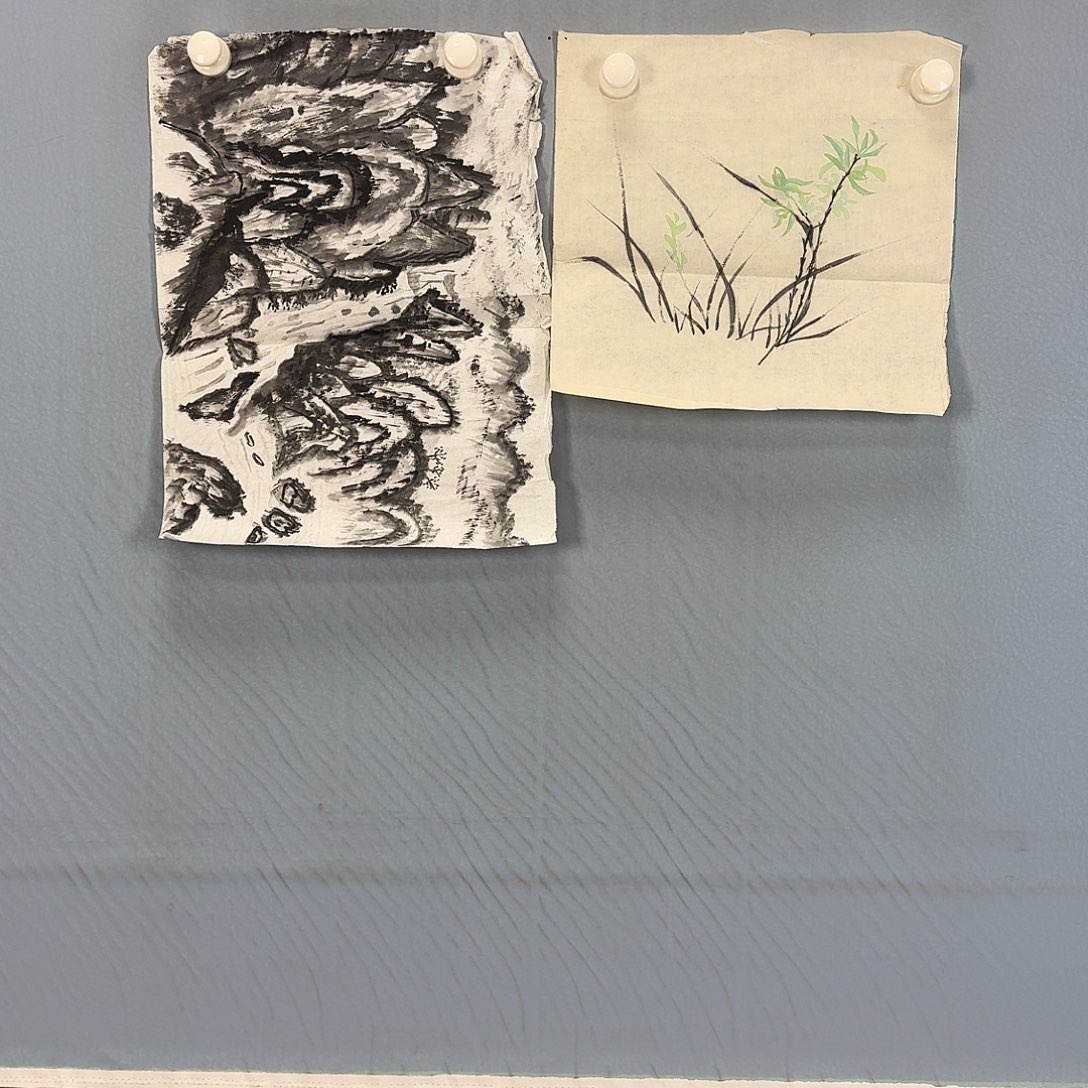 国画279 牡丹一如您的脸颊美丽的