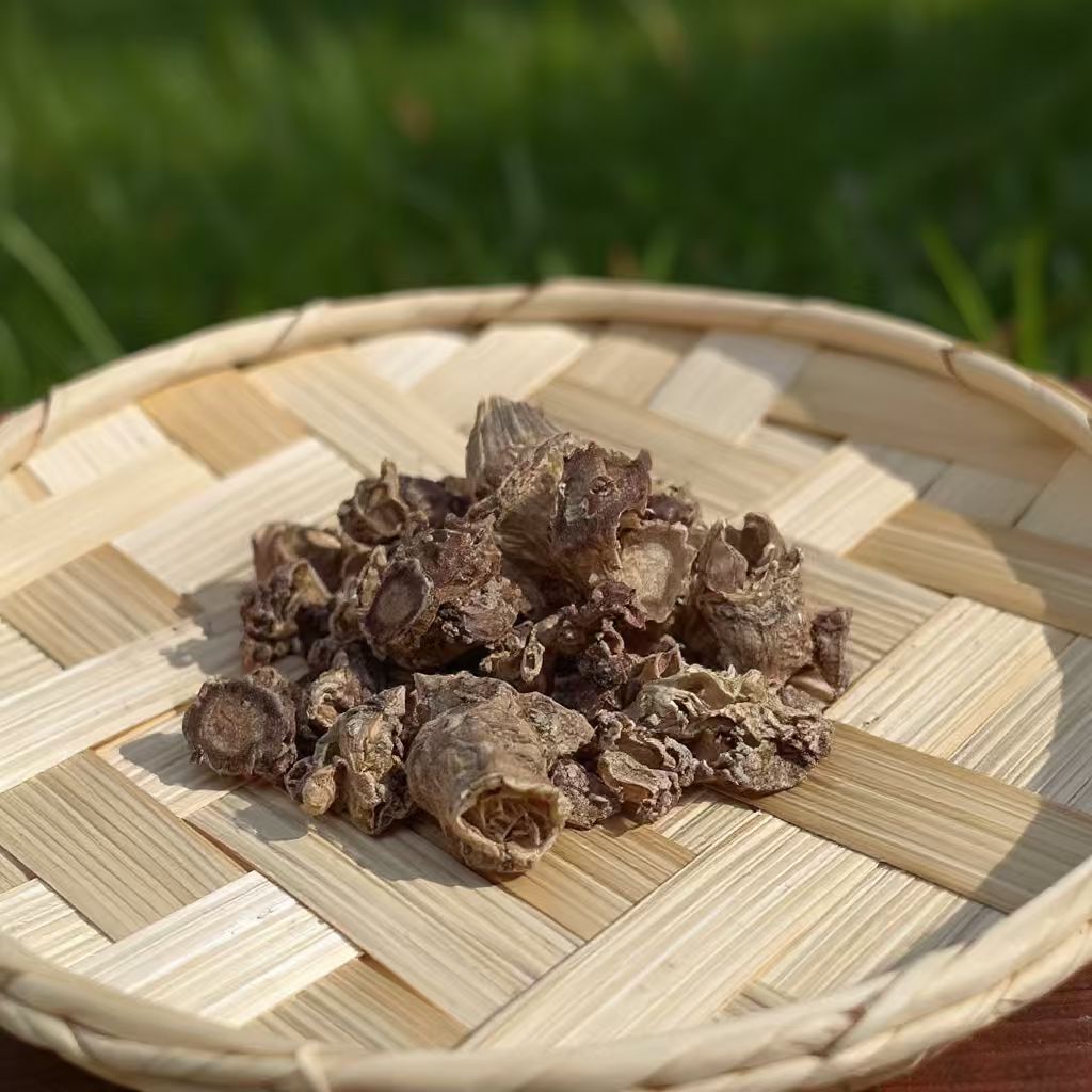 煮水焖泡芦头花旗参炖汤泡酒散装