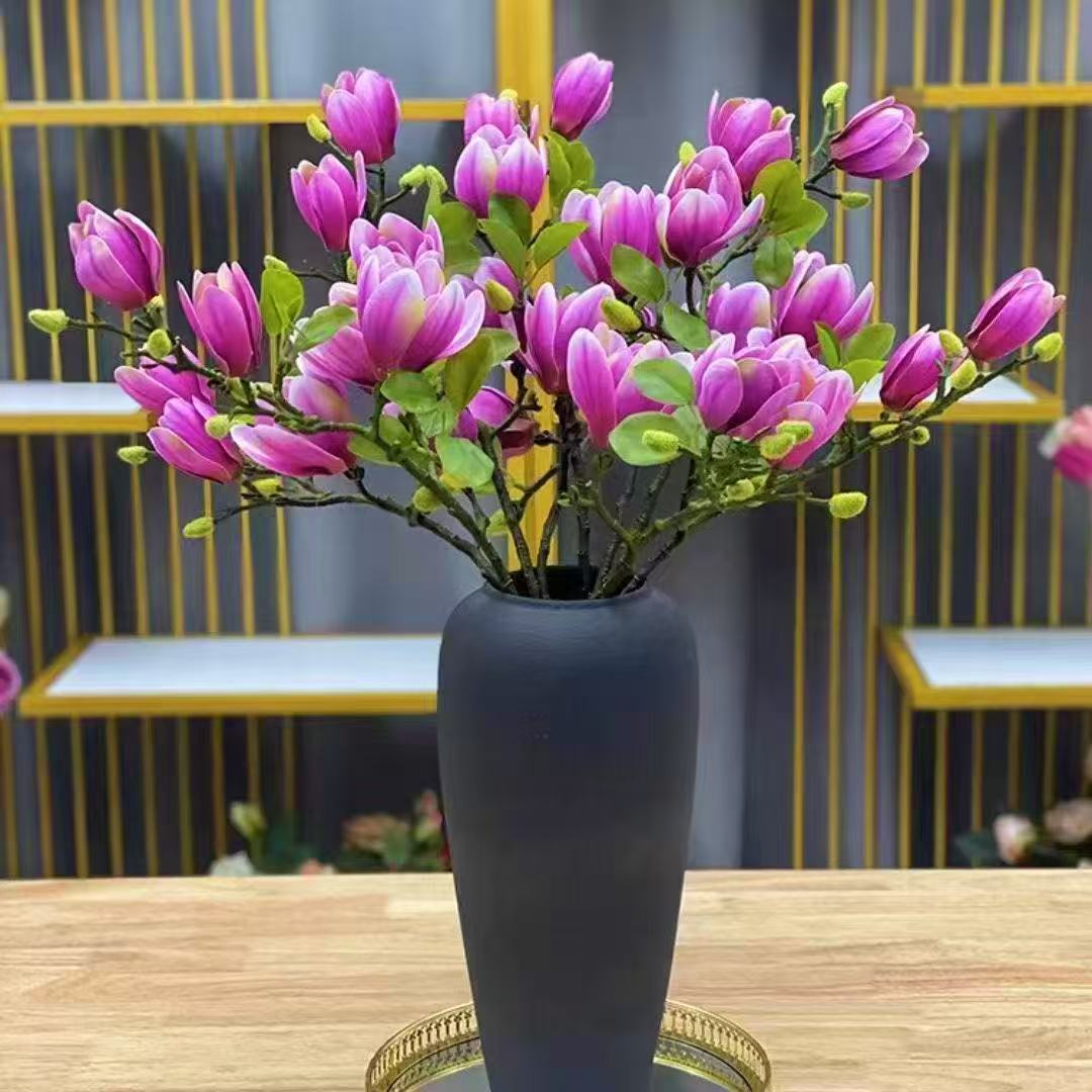 【带花苞】鲜切水培玉兰枝室内客厅办公室花卉绿植梅花枝条遇水开花