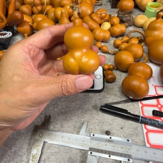 @***ɞ胡妮子的一把金蝉一把金铲