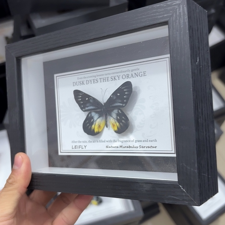 七寸圣诞背景随机发一个