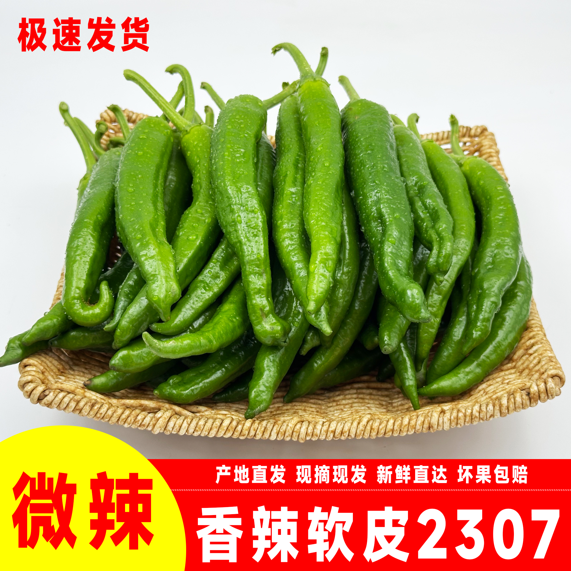 （微辣）软皮2307辣椒新鲜嫩皮辣椒薄皮小炒肉专用现摘产地直