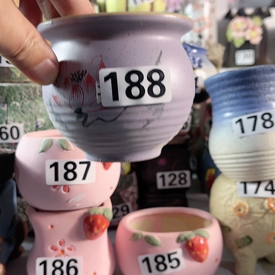 红陶多肉植物花盆