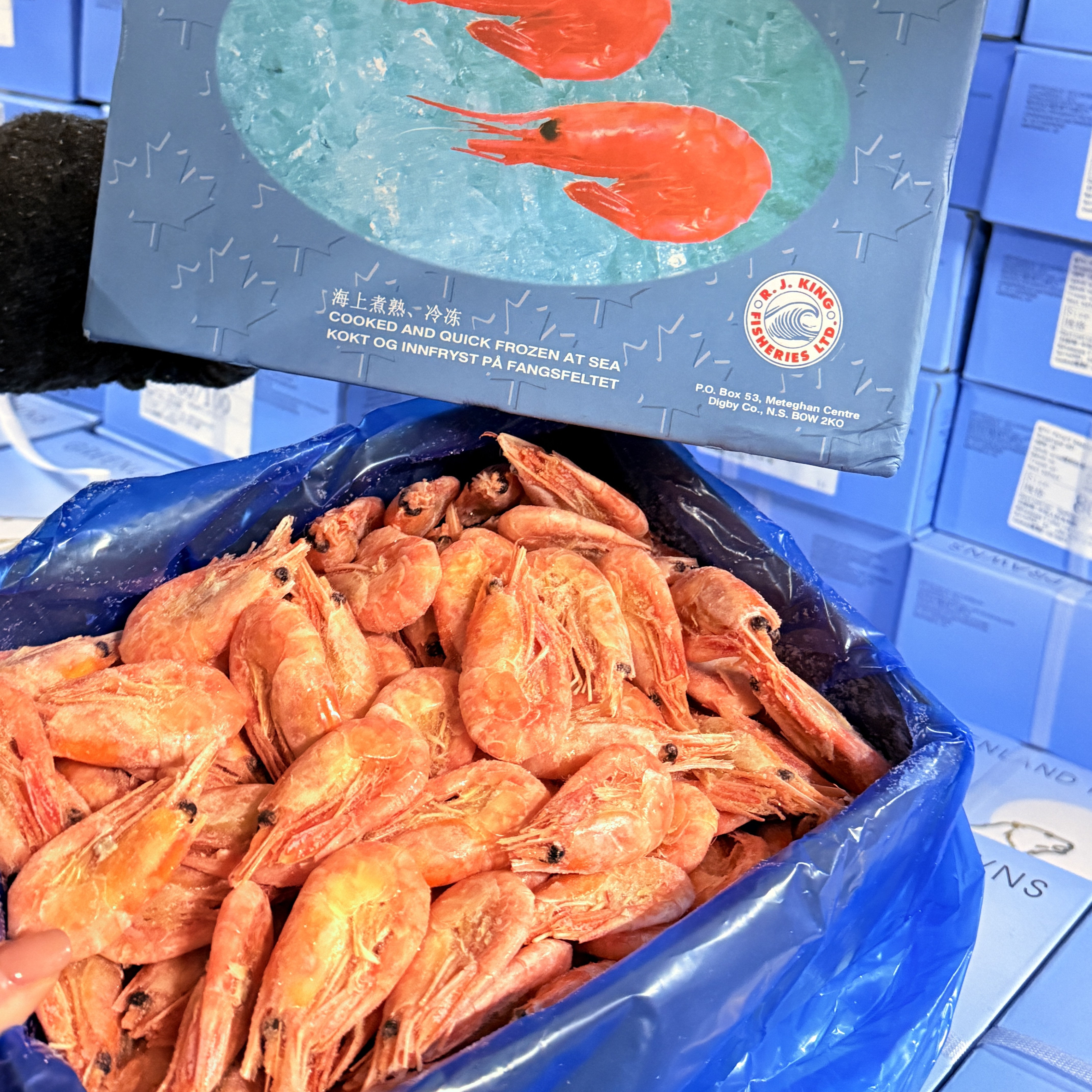 80/100国王北极甜虾熟冻锁鲜清甜独立包装去冰生鲜美食北极冰虾