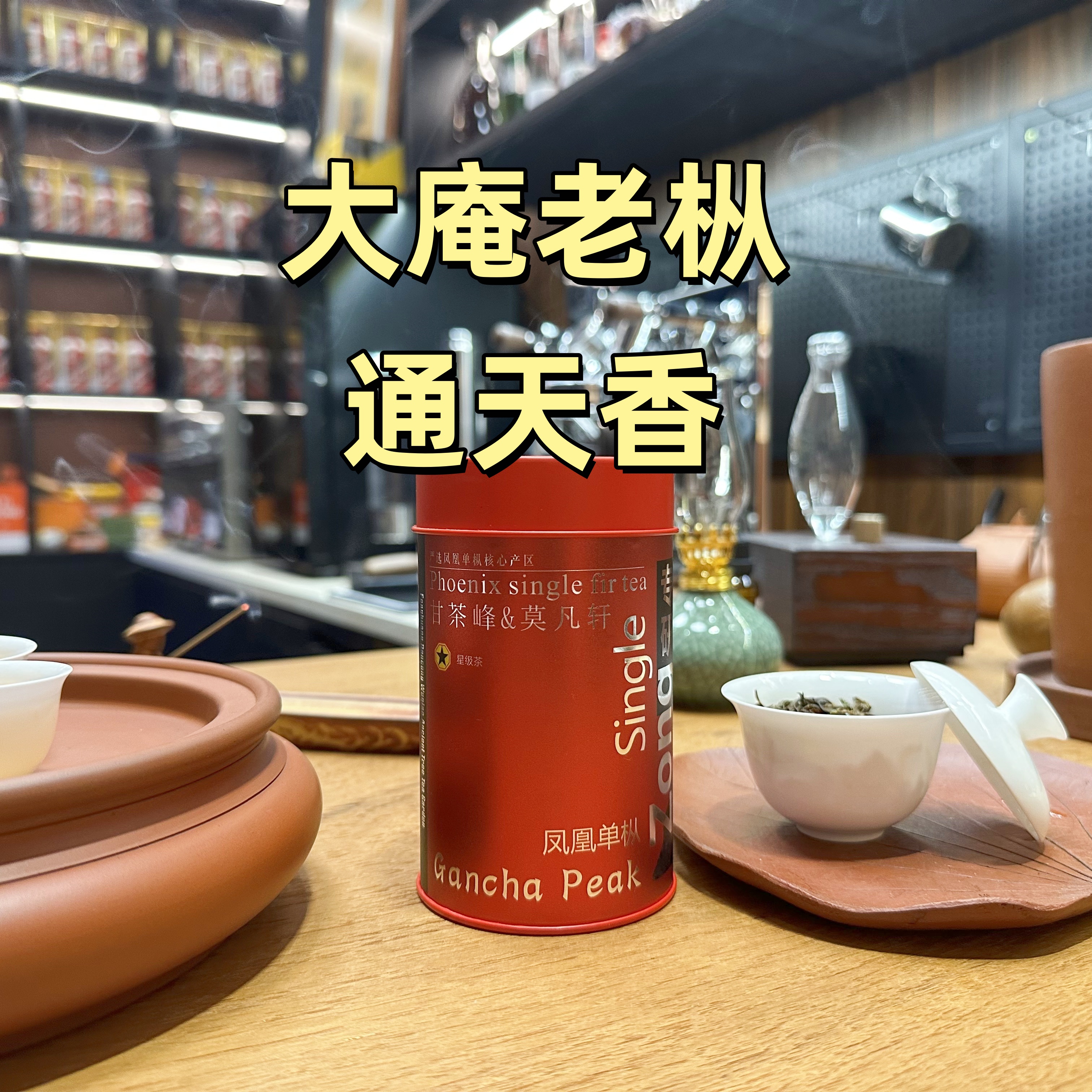 甘茶峰&莫凡轩【大庵老枞通天香】潮州凤凰单丛单枞 罐装春季50g