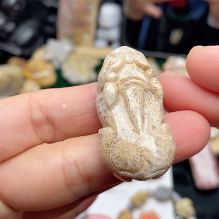 硅化珊瑚（珊瑚玉）手镯未镶嵌