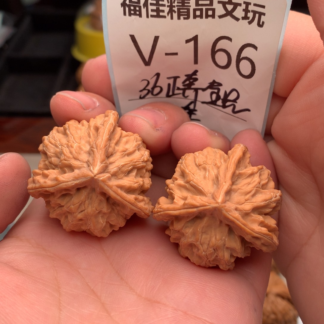 文玩核桃把件36正奔………