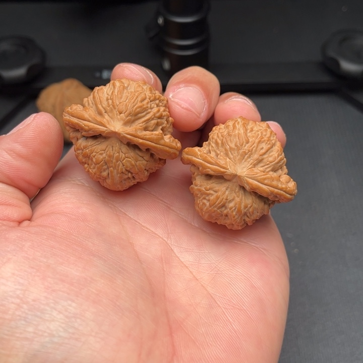 把件文玩核桃白狮子41