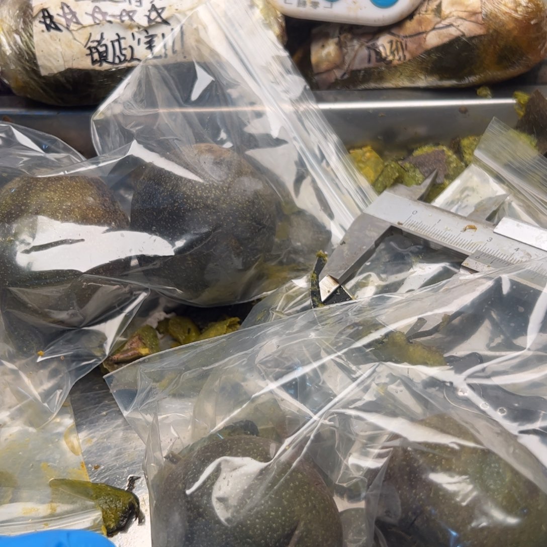 泡***麦刚好你看你奶奶接你吧宝贝