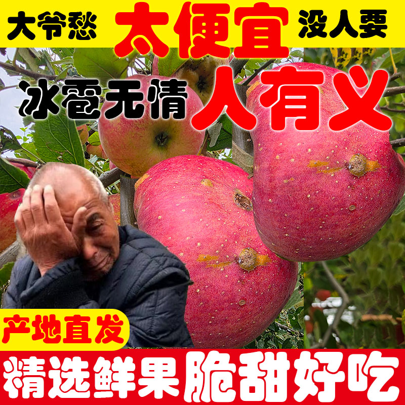 乌蒙岩洞昭通红露丑苹果苹果新鲜当季苹果水果冰糖心苹果产地直发