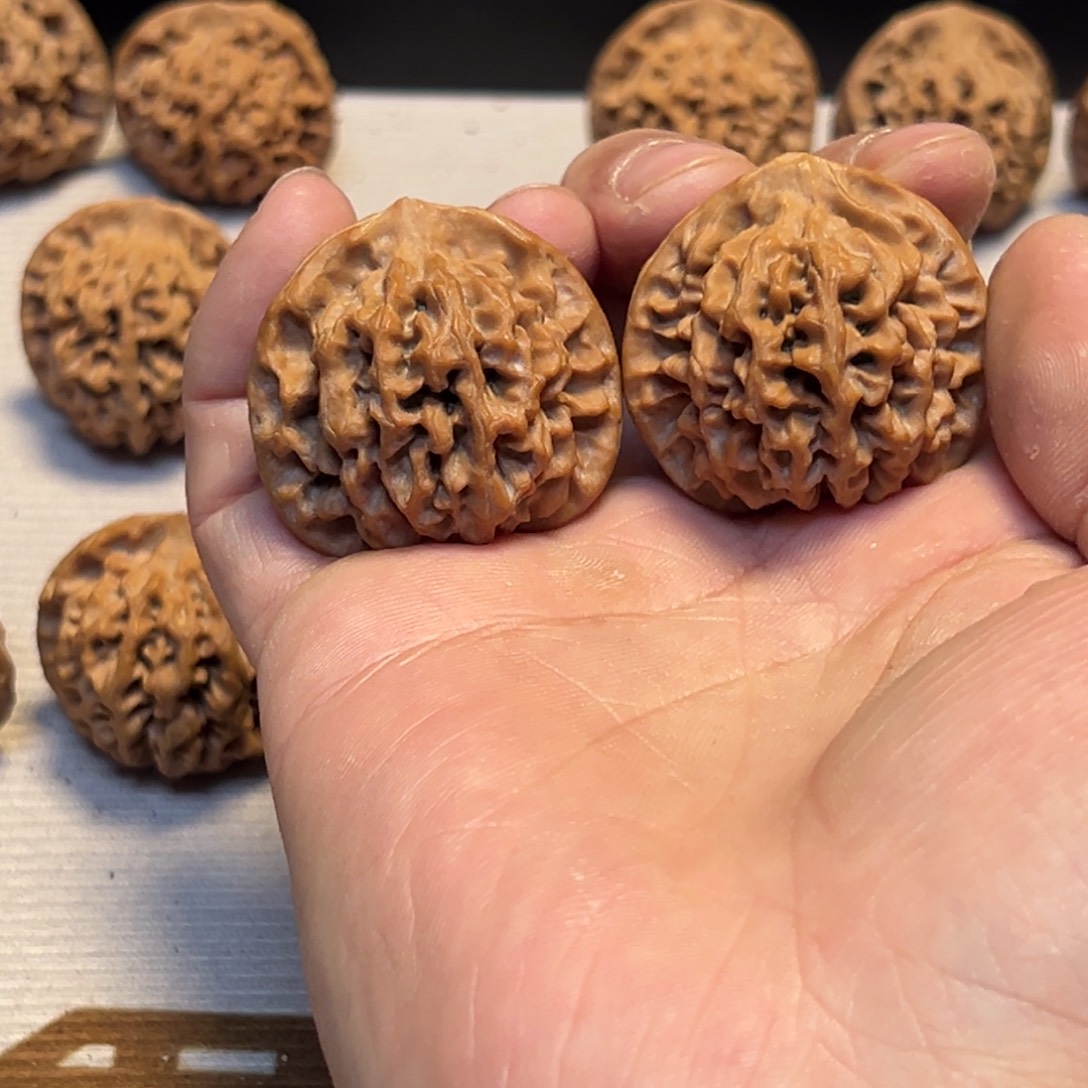 1***336尺正版宝鸡秦闷