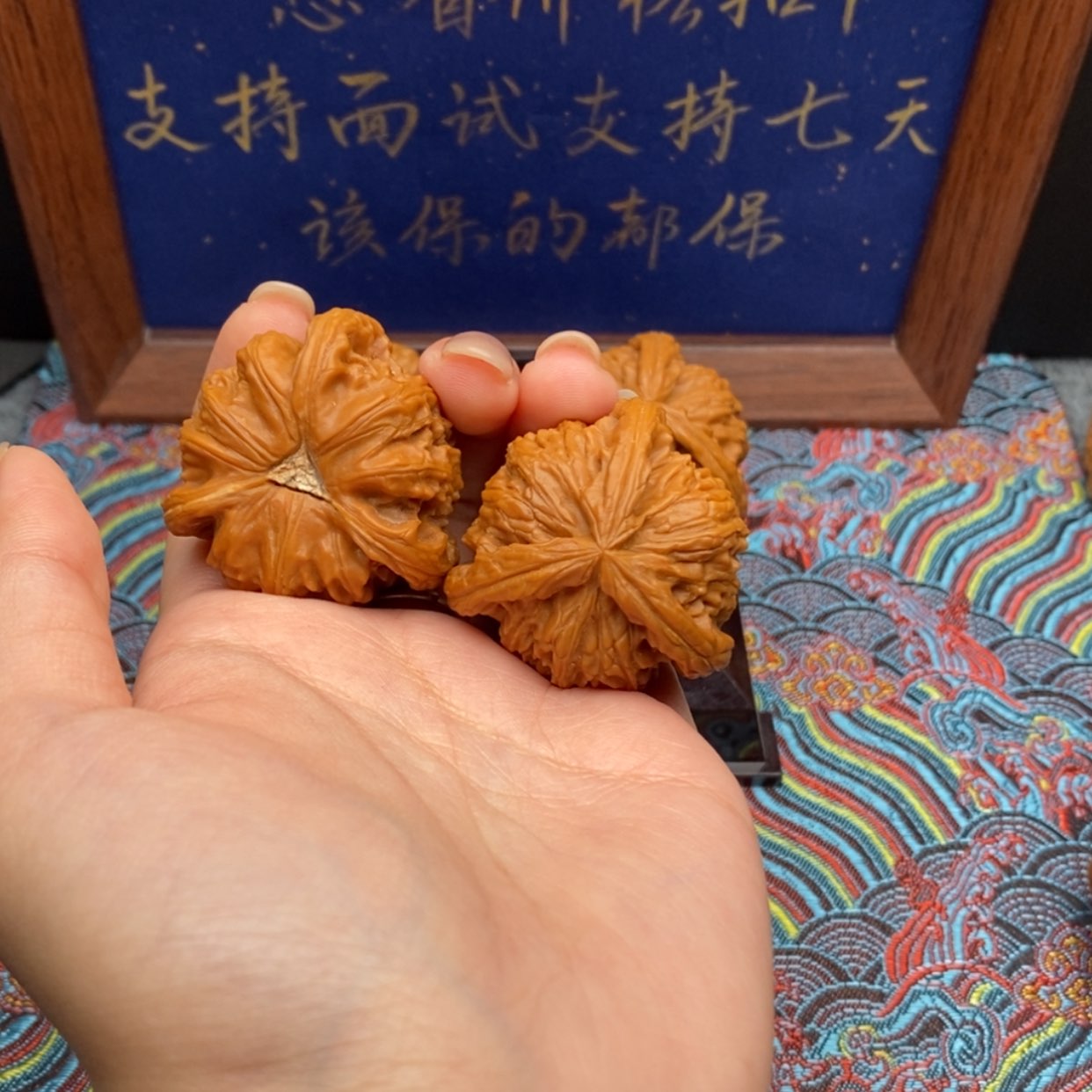【闪购商品】?****蓝白狮