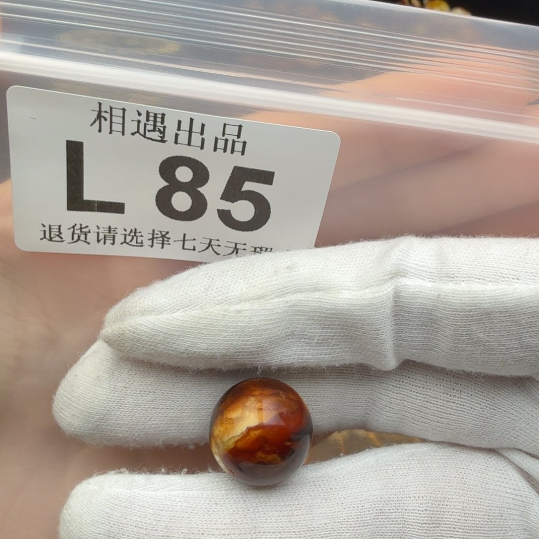 未镶嵌琥珀裸石贝****琥珀蜜蜡