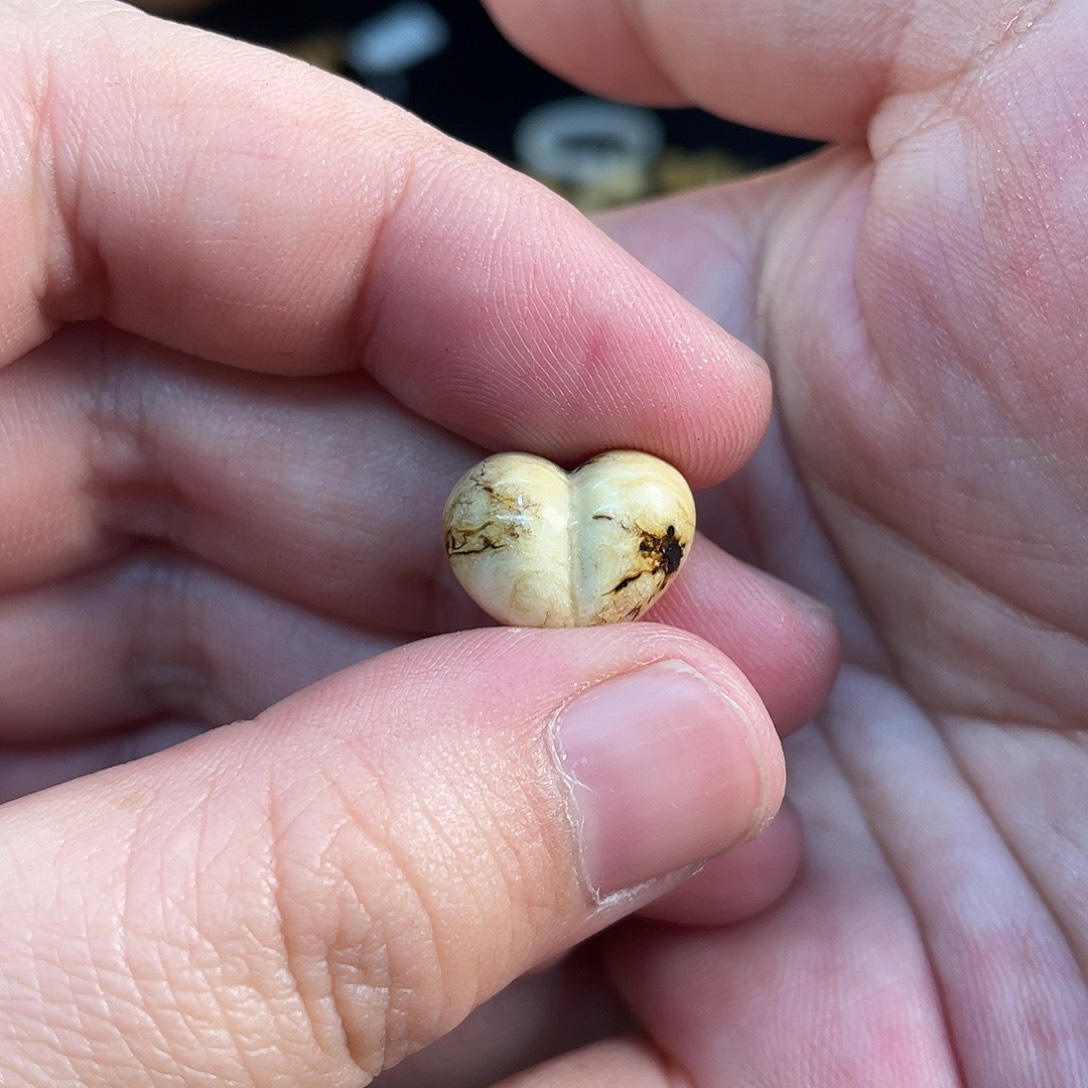 琥珀未镶嵌裸石干白饰品