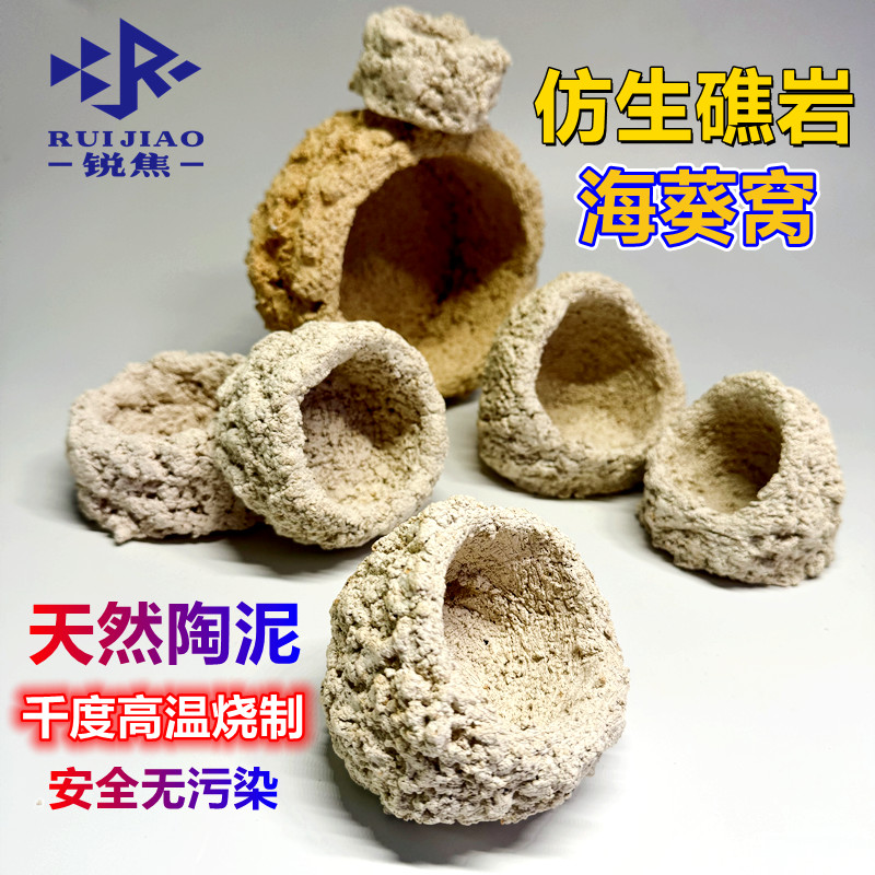 海缸奶嘴窝葵地毯爪哇基拉戈干岩石免爆藻罐珊瑚陶瓷培菌锐焦造景