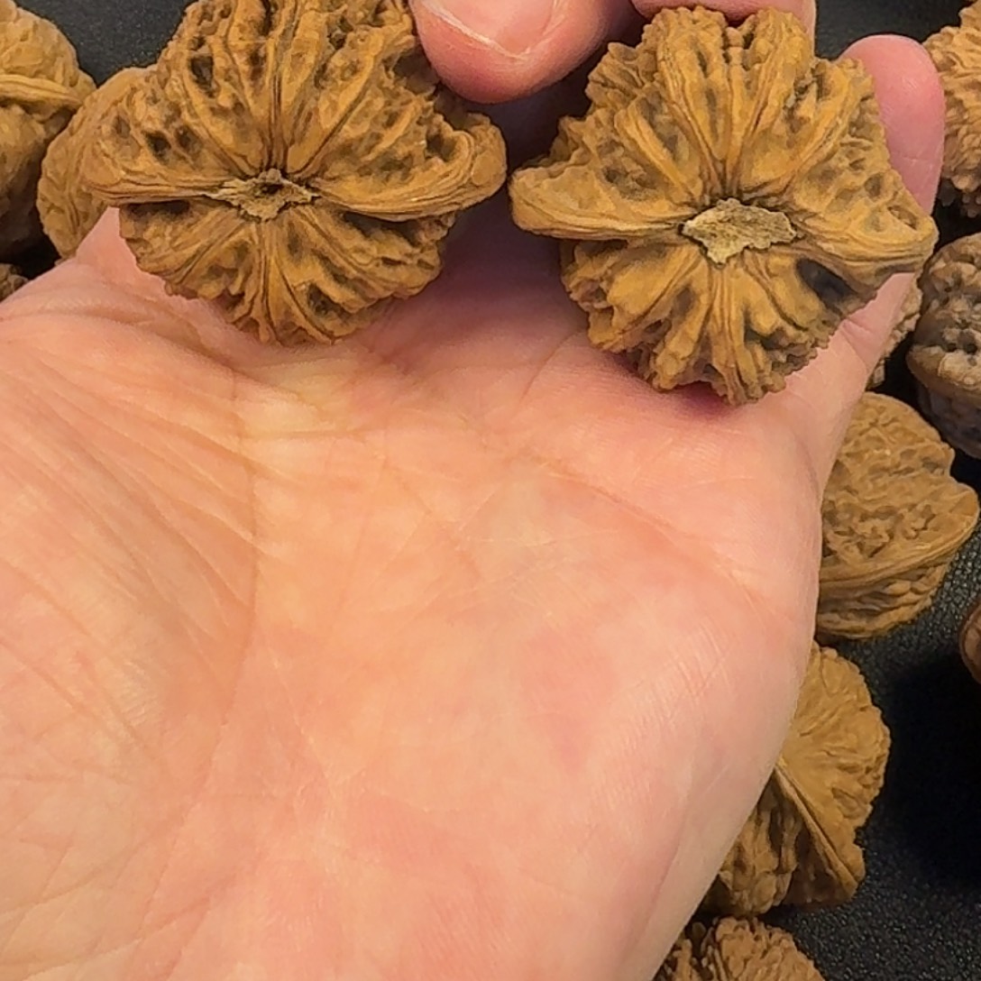 用***2吊坠文玩核桃密纹