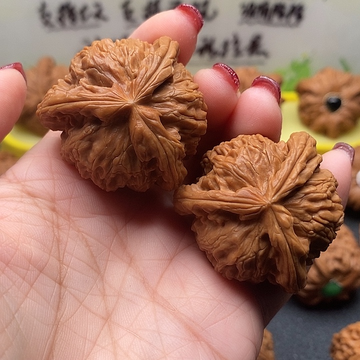 核桃40球奔拼接白狮子