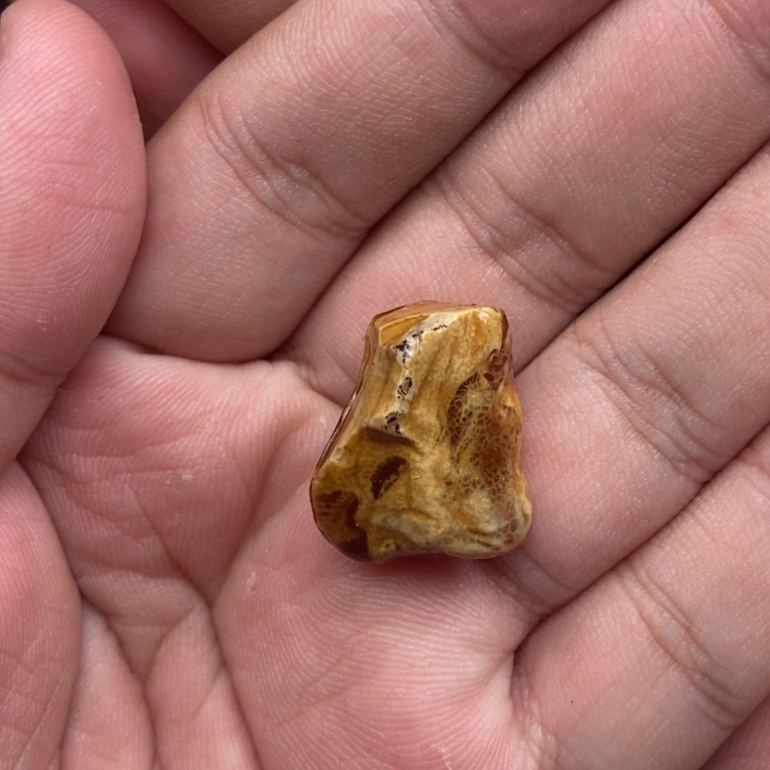 王***权定制琥珀未镶嵌定制