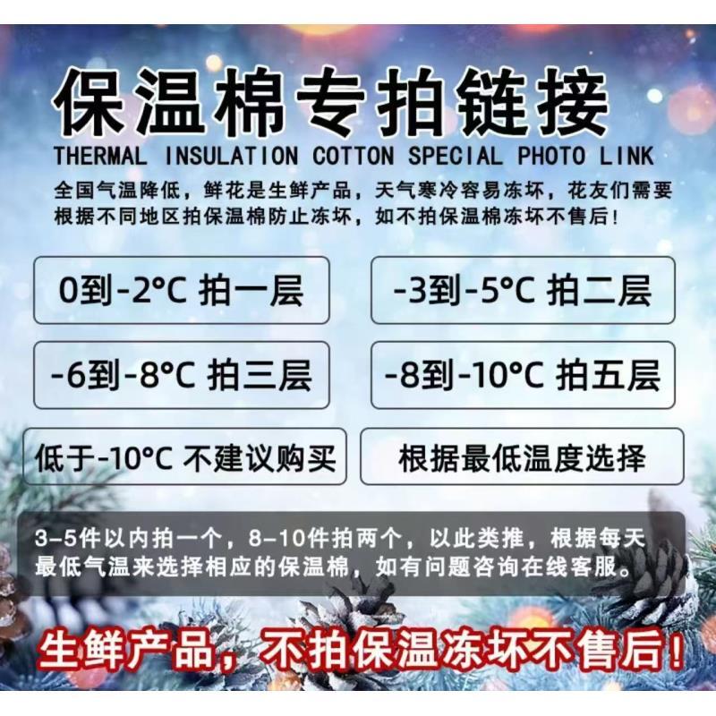 【保温棉】  零度以下地区必须拍 拍了鲜花再去拍   单拍此链接不发