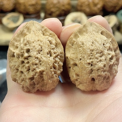 文玩核桃把件朱雀带彩38