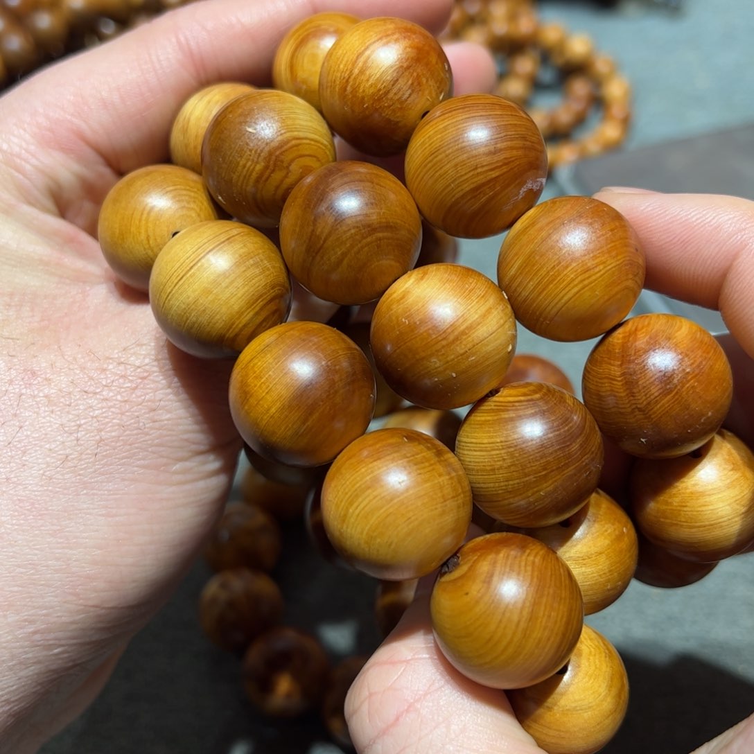 太行崖柏陈化太行