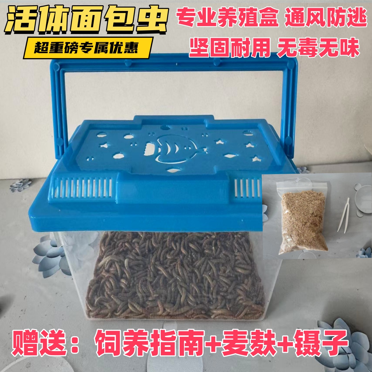 面包虫活虫黄粉虫鲜活钓鱼饵料八哥画眉鸟守宫蝎子鸡乌龟宠物饲料