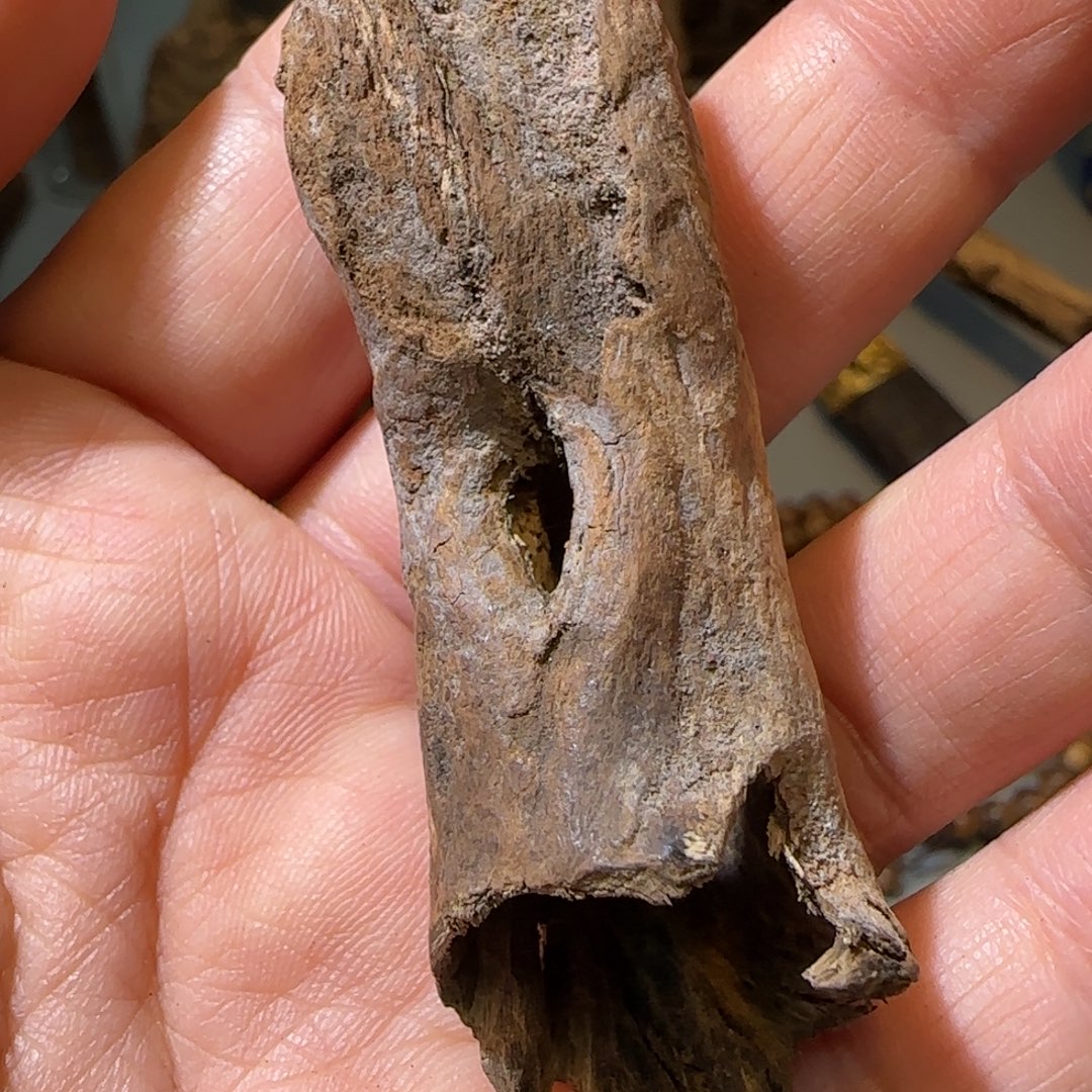 沉香碎屑沉香中山棋楠根6.93克