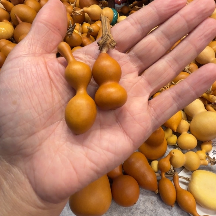 靠***姨靠谱老阿姨的两把两把葫芦