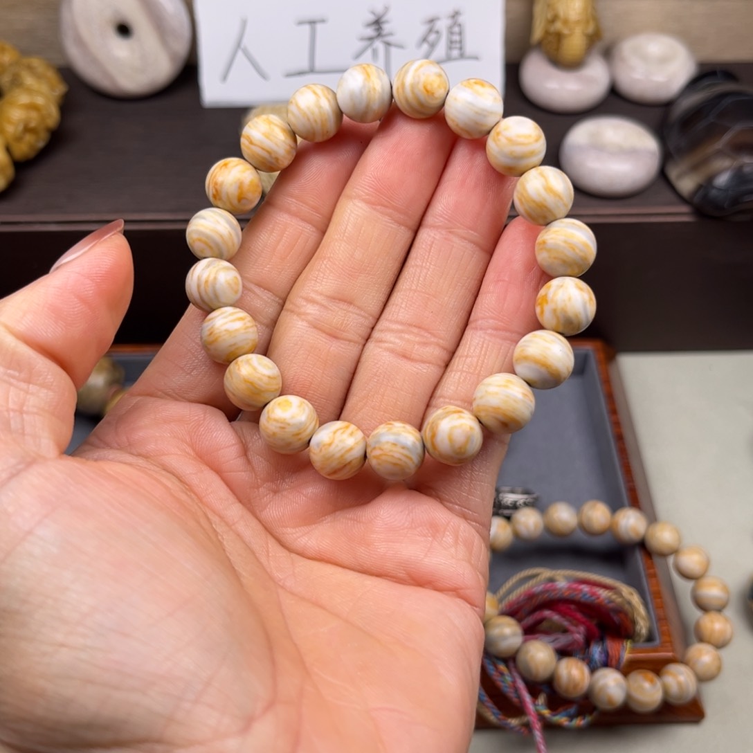 牛骨手串/手链猛犸臼齿
