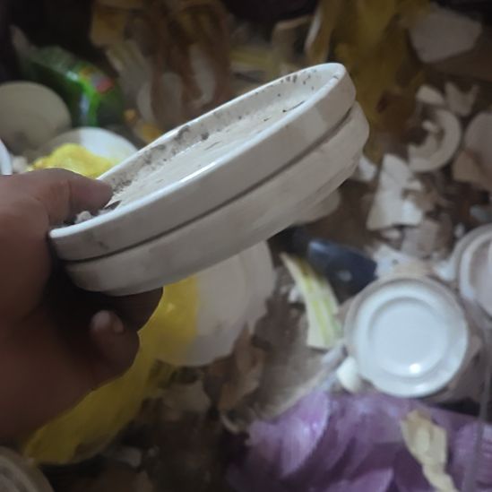 瓷小茶盘！国营四厂库存，