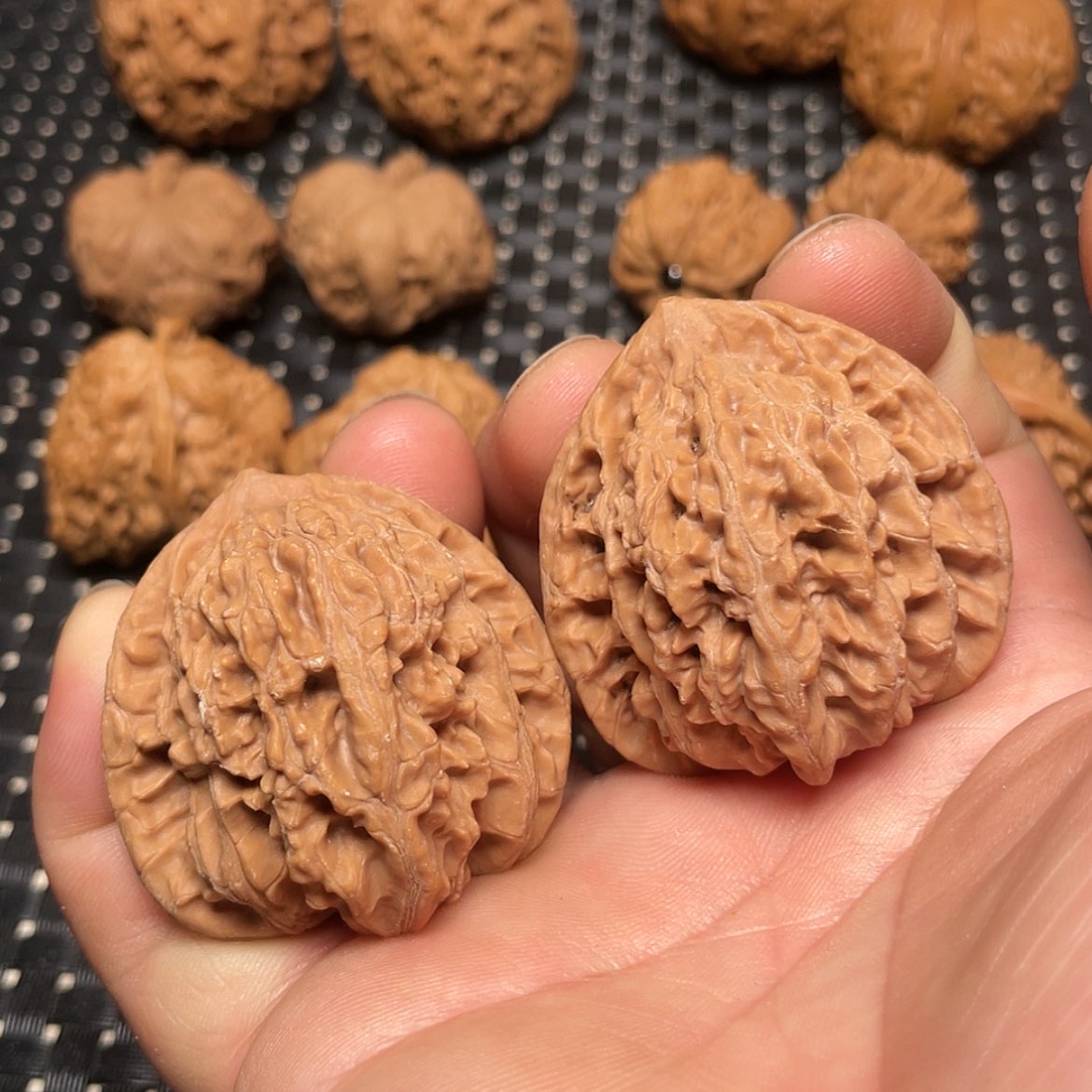 【闪购商品】文玩核桃把件42霞云岭狮子头