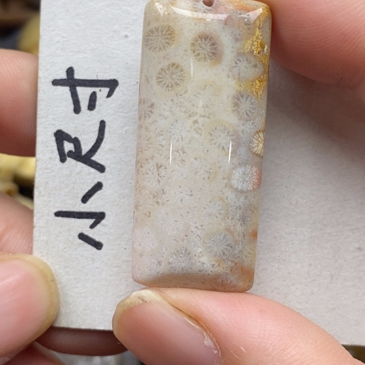 硅化珊瑚（珊瑚玉）未镶嵌颈饰