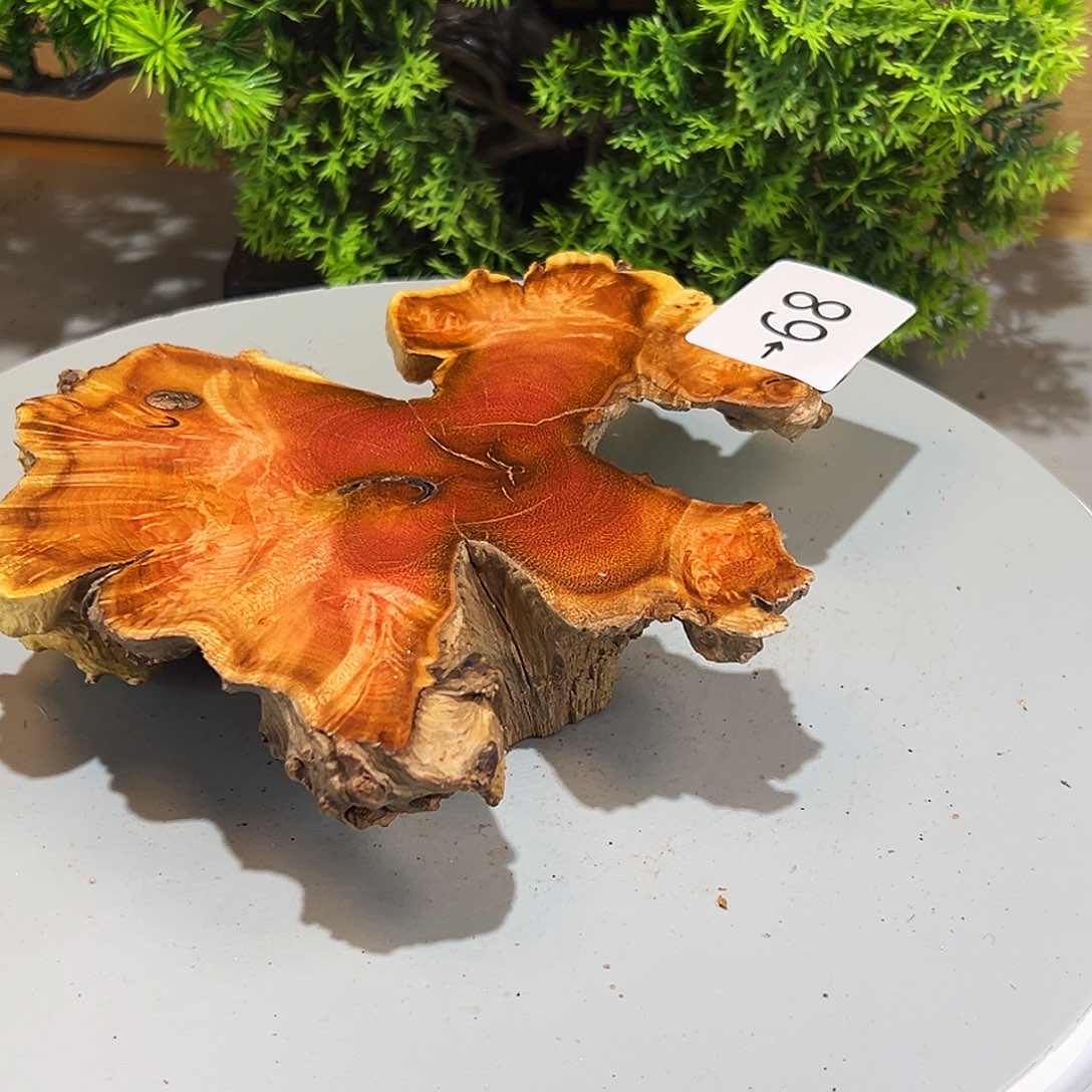 香榧木义**天火琉璃……火琉璃