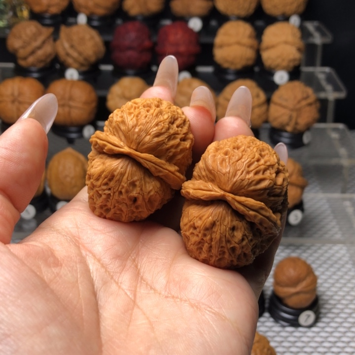 橄榄核吊坠51食蚁兽