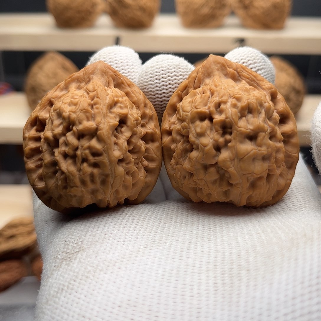 桃核吊坠39粗筋蚂蚁王，