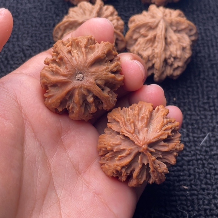 把件文玩核桃文玩核桃7