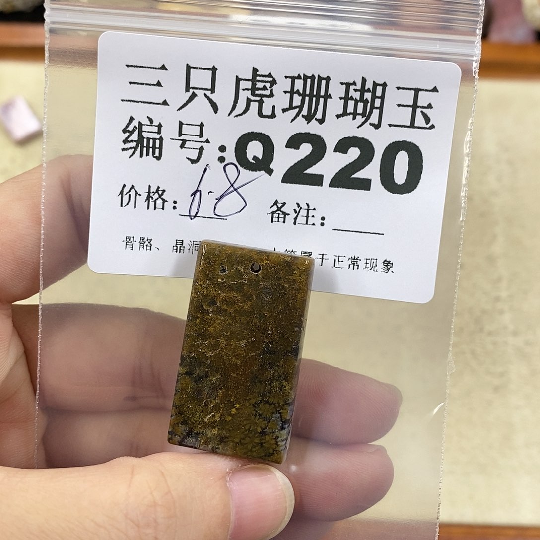 硅化珊瑚（珊瑚玉）1未镶嵌?*.