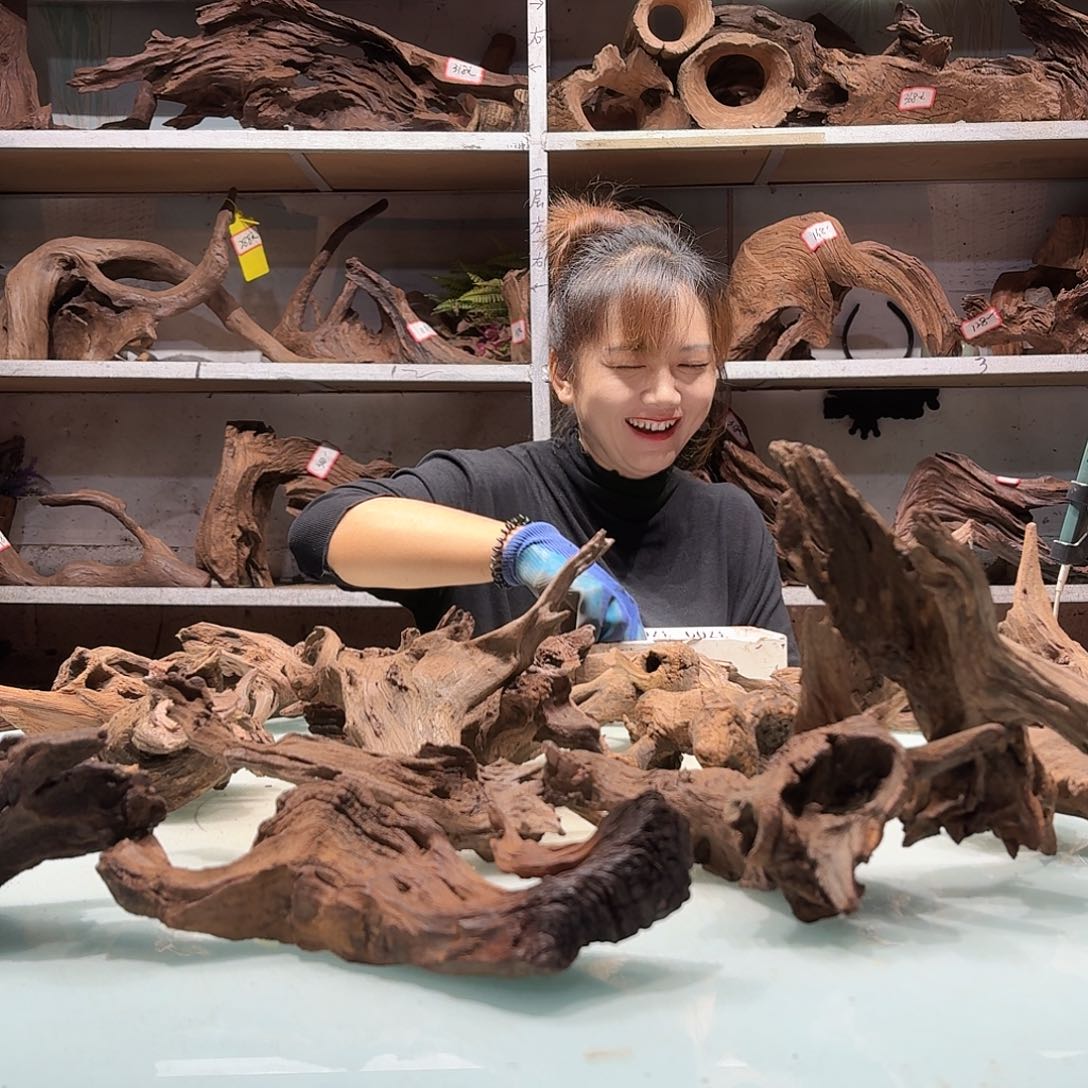 紫砂倍储沉木不包损，必黄水-****颜3701紫柚小货