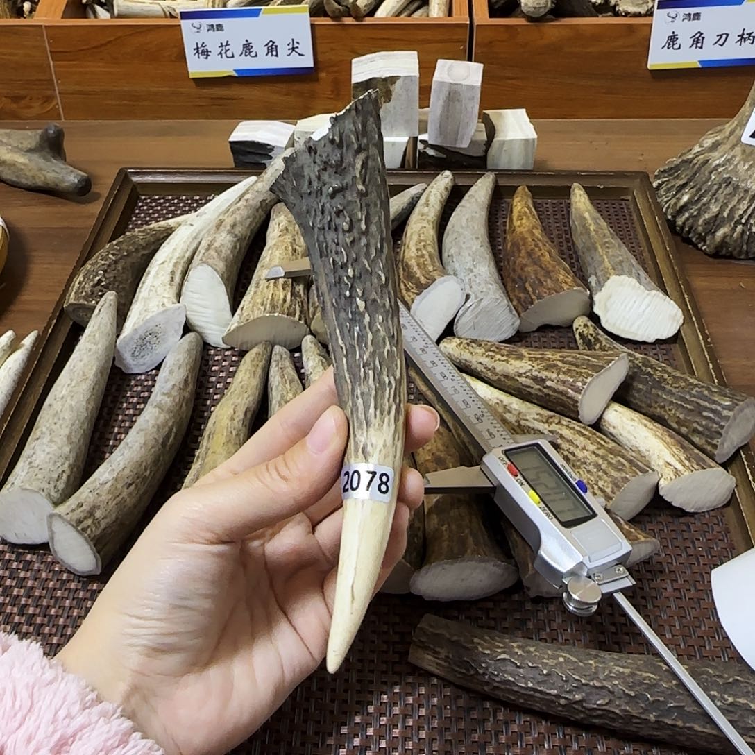 手串/手链鹿骨3078梅花鹿尖